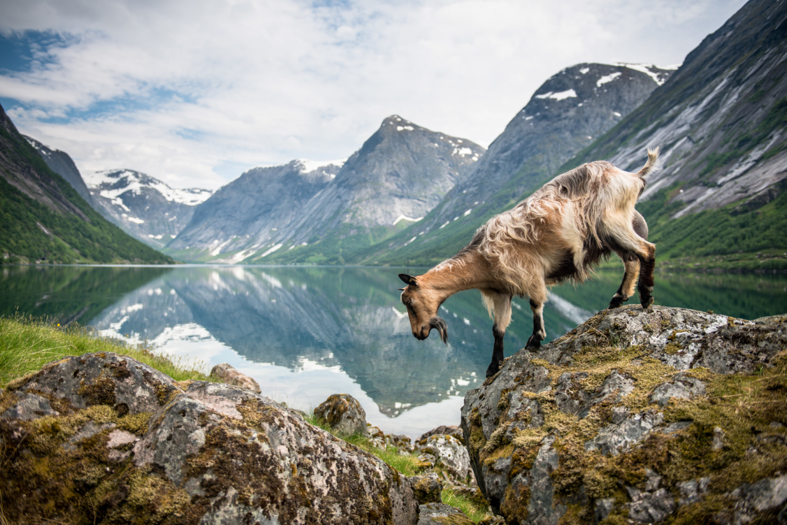 Foto: Sverre Hjørnevik